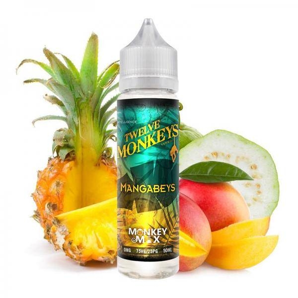 12 Monkeys Mangabeys 12 Monkeys Mangabeys