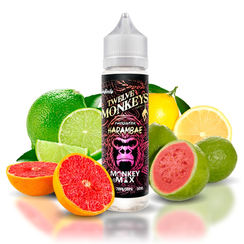 12 Monkeys Harambae 12 Monkeys Harambae